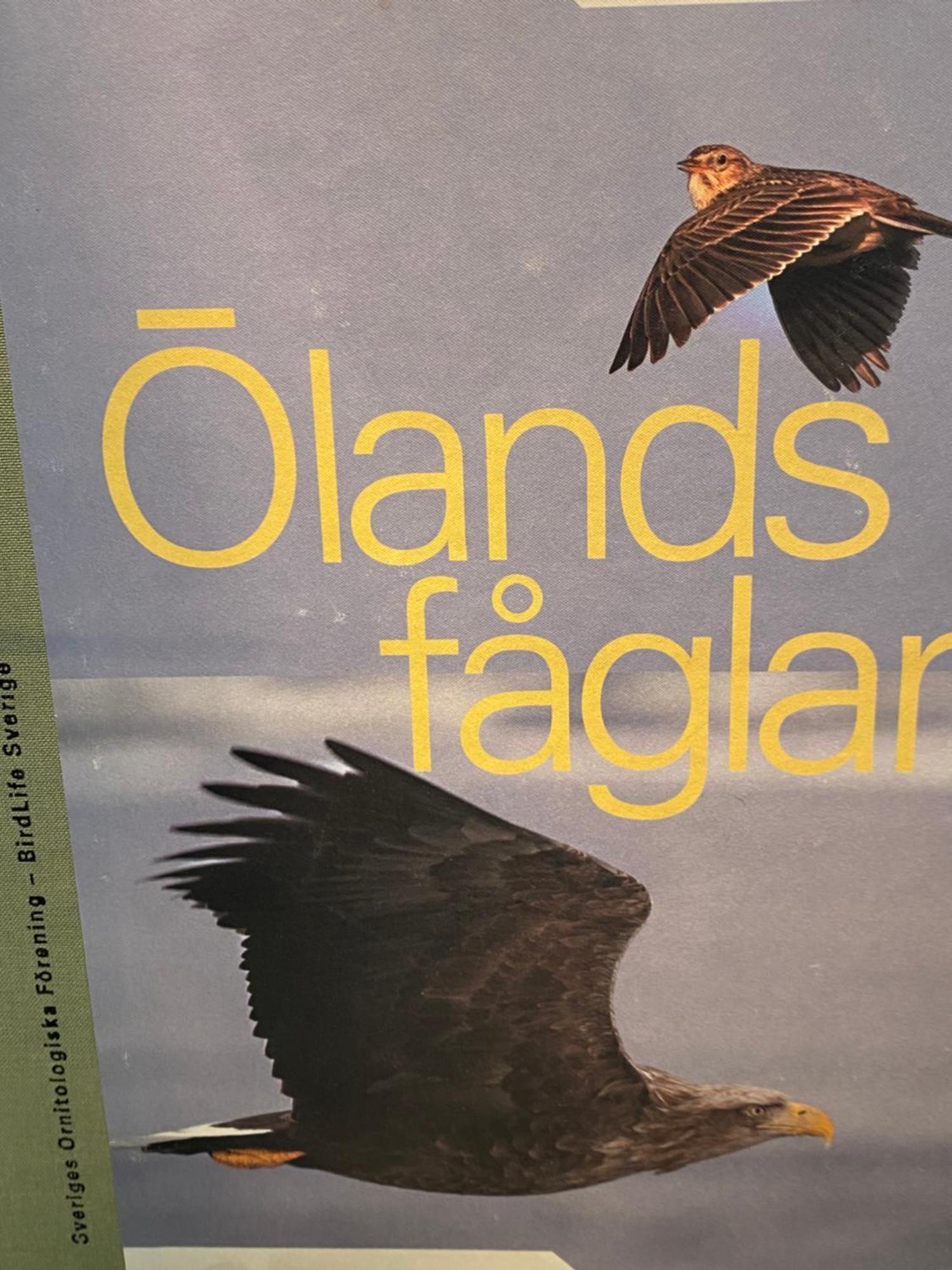 Idyliska Boende Mitt Pa Oeland Apartamento Färjestaden Exterior foto